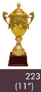 223 11 Inches Code Trophy, Feature : Durable