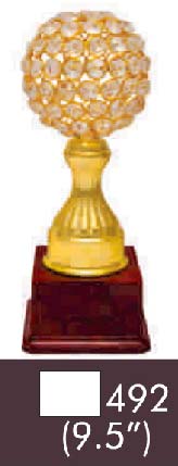 492 09-5 Inches Trophy, Feature : Durable