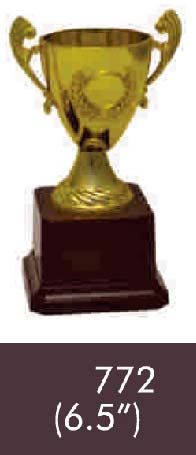 Wooden 772 06-5 Inches Trophy, Color : Golden