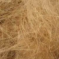 Bee3 Coir Fiber