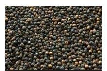 Black Pepper Seeds