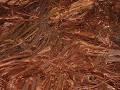 Copper wire scrap, Shape : Various