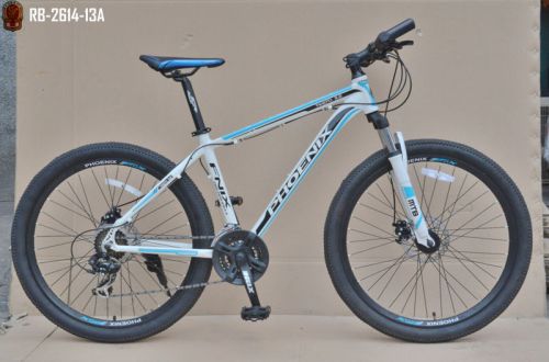 PHOENIX Mountain Bike