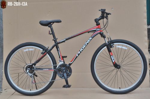 PHOENIX Mountain Bike
