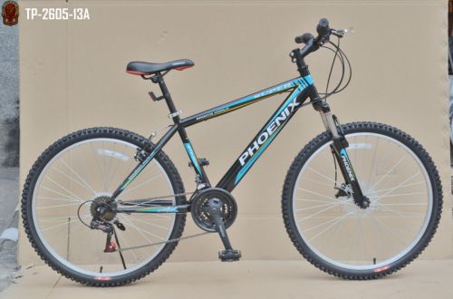 PHOENIX Mountain Bike