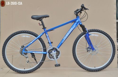 PHOENIX Mountain Bike