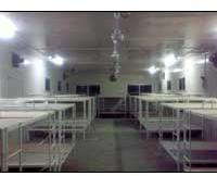 Bunk Labour Accommodation