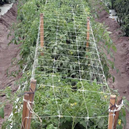 Nylon Trellis Netting, Brand Name : Garden