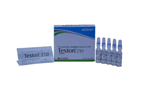 Teston Injection