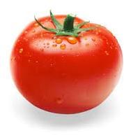 Fresh Tomato