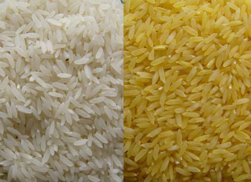 Basmati & Non Basmati Rice