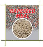 Rapeseed Meal