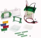 Electrophoresis Equipment