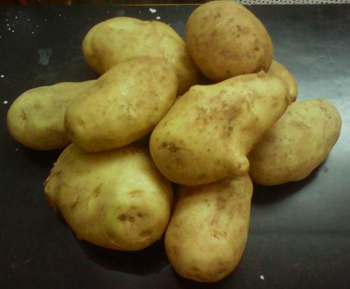 Fresh potato, Country of Origin : India