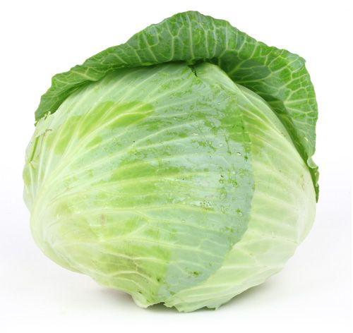 Cabbage