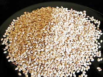 Sesame Seeds- 01