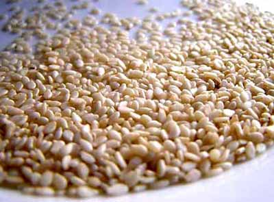 Sesame Seeds-02