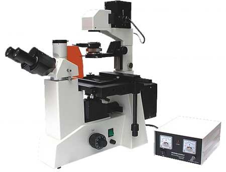 Fluorescence Microscopes - Flr 4000