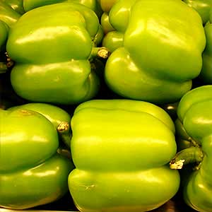 Capsicum Oleoresin