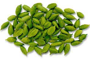 Cardamom Oil, Feature : Gives Skin Radiance
