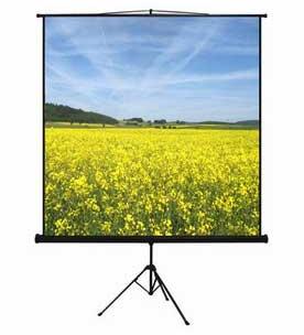 Classy White HDPE Tripod Projection Screen