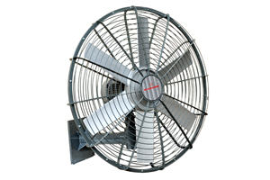 Man Cooler Fan