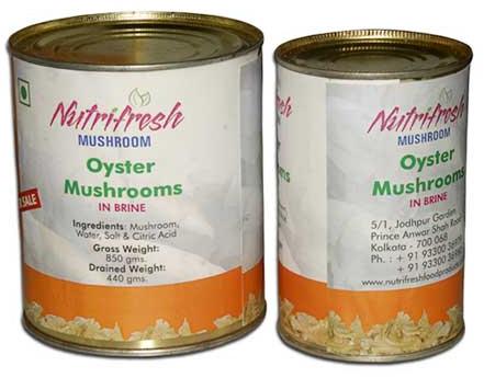 Canned Oyster Mushroom-02