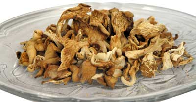 Dried Mushroom-02