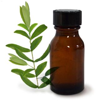 Tea Tree Oil