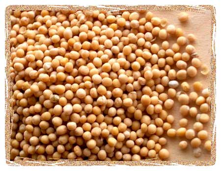 Mustard Seeds