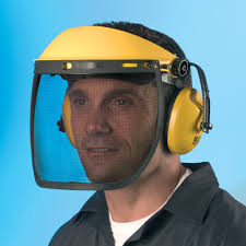 Ear Defenders