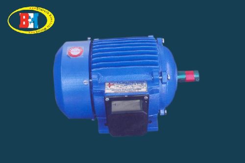 Squirrel Cage Induction Motor
