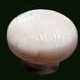 Bone Cabinet Knob