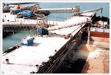 Terminal Management Services