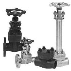 Forged Steel Valves