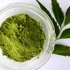Neem powder, Packaging Type : Packet