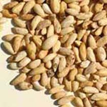 Neem Seed Cake, For Animal Feed