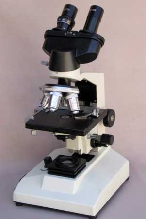 Binocular Microscopes