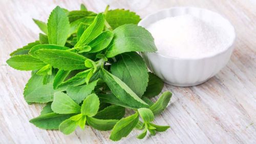 Zeal Herbs Fresh Stevia Leaves, Feature : High Medicinal Value Hygiene