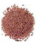 Zeal Herbs Isabgol Seeds, Packaging Type : Bulk