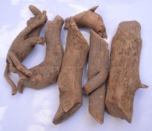 Zeal Herbs Sarpgandha