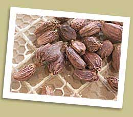 Raja Hindustani Big Cardamom, Shelf Life : 12 Months