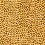 Raja Hindustani Yellow Mustard Seeds, For Cooking Flaouvring