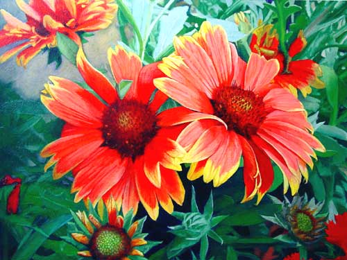 Varrmas Daisies Oil Painting, For Home Decor, Gifting Etc.