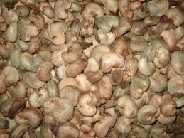 Raw cashew nut, Brand Name : VETTIER