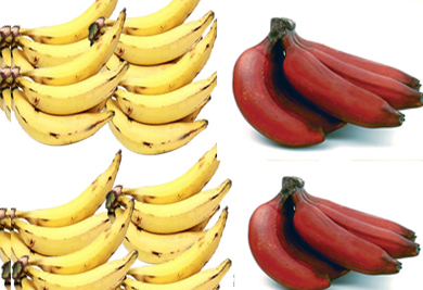 Red Banana