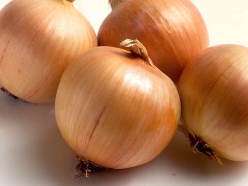 Onions, Speciality : Rich In Taste, Hygienic