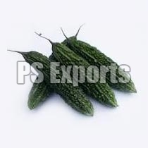Fresh Bitter Gourd