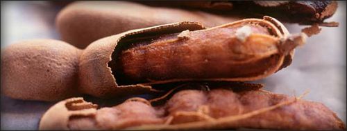 Tamarind Pulp