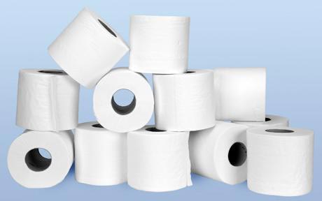Toilet Paper Rolls